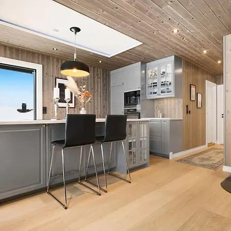 New In Out, Fireplace & Mountain View